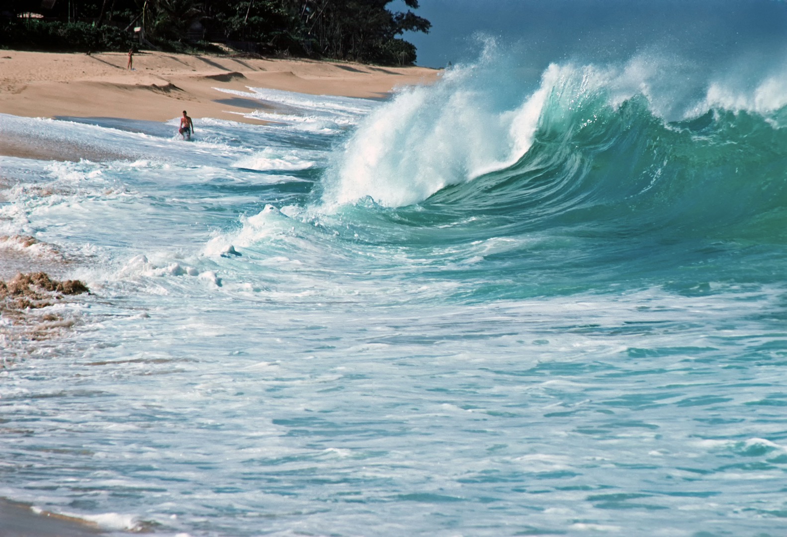 Great Things To Do At Sandy Beach Oahu 