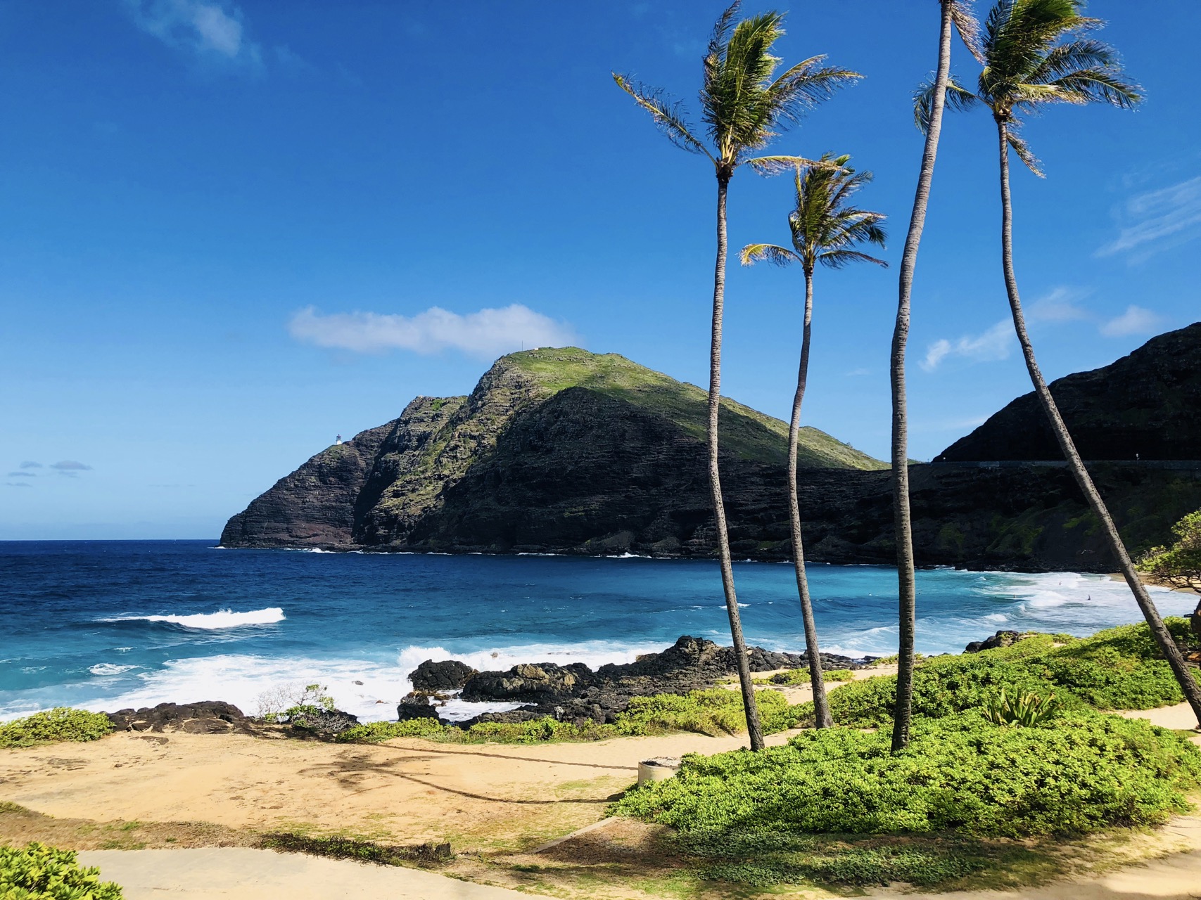 Makapuu Beach: Hawaii's Golden Hair Beauty 