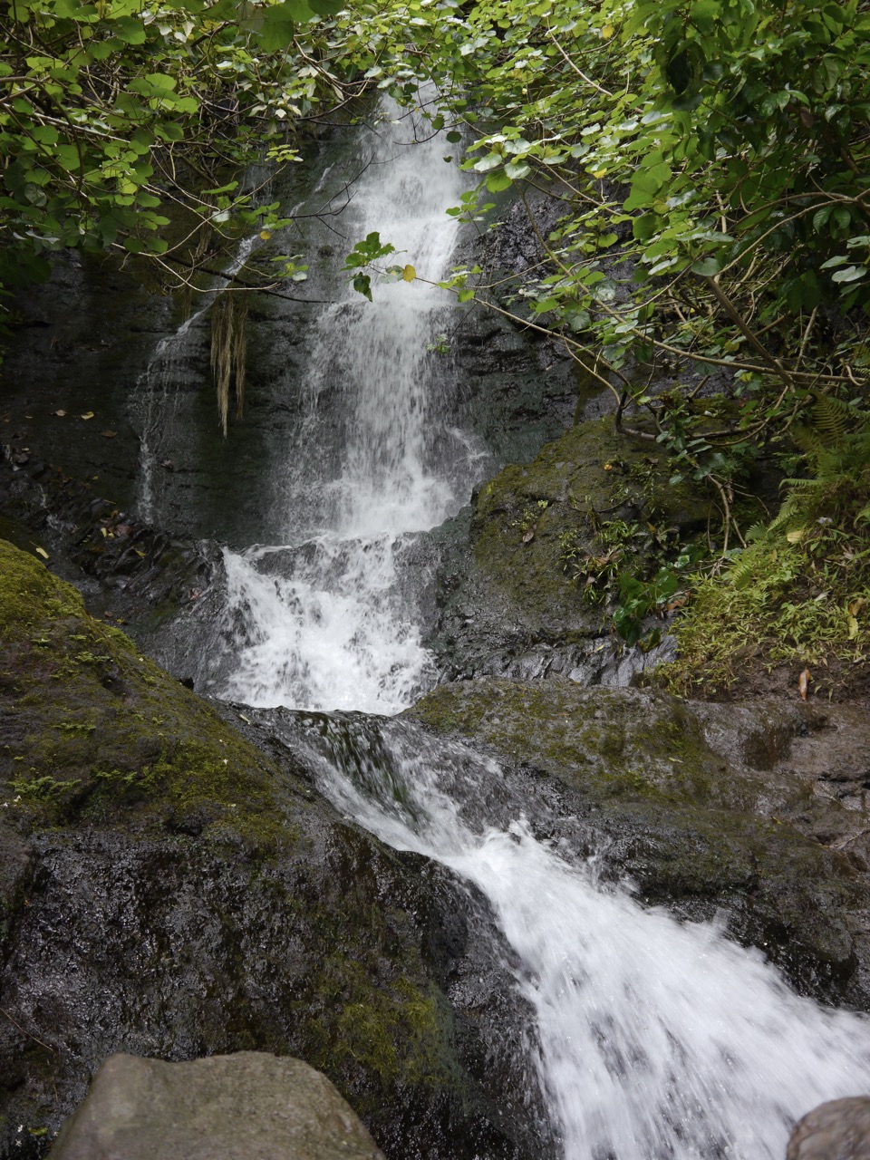 Plan Your Visit To Likeke Falls 