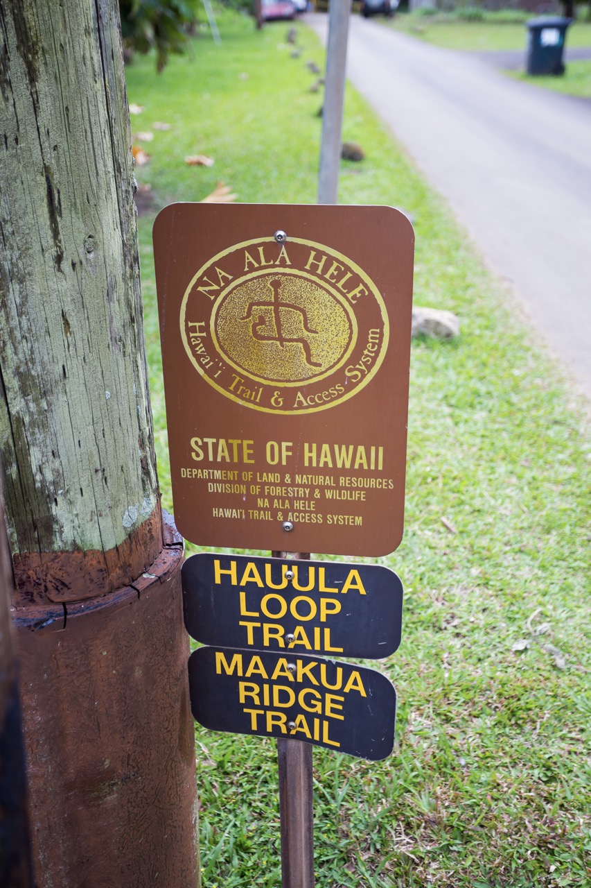 The Challenging Ma'akua Ridge Trail