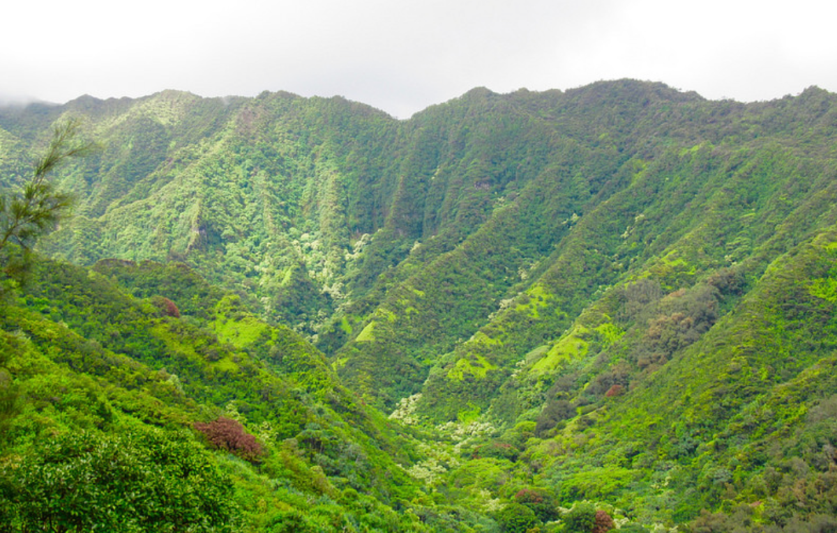 Hiking Hauʻula Loop Trail