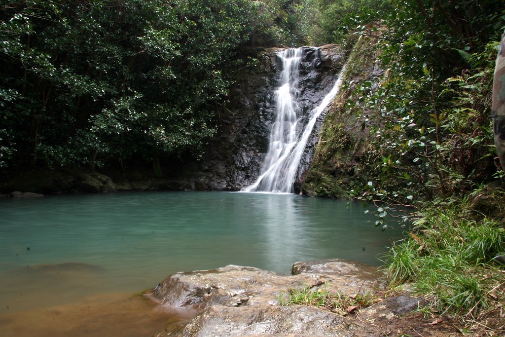 Hiking Lāʻie Falls Trail