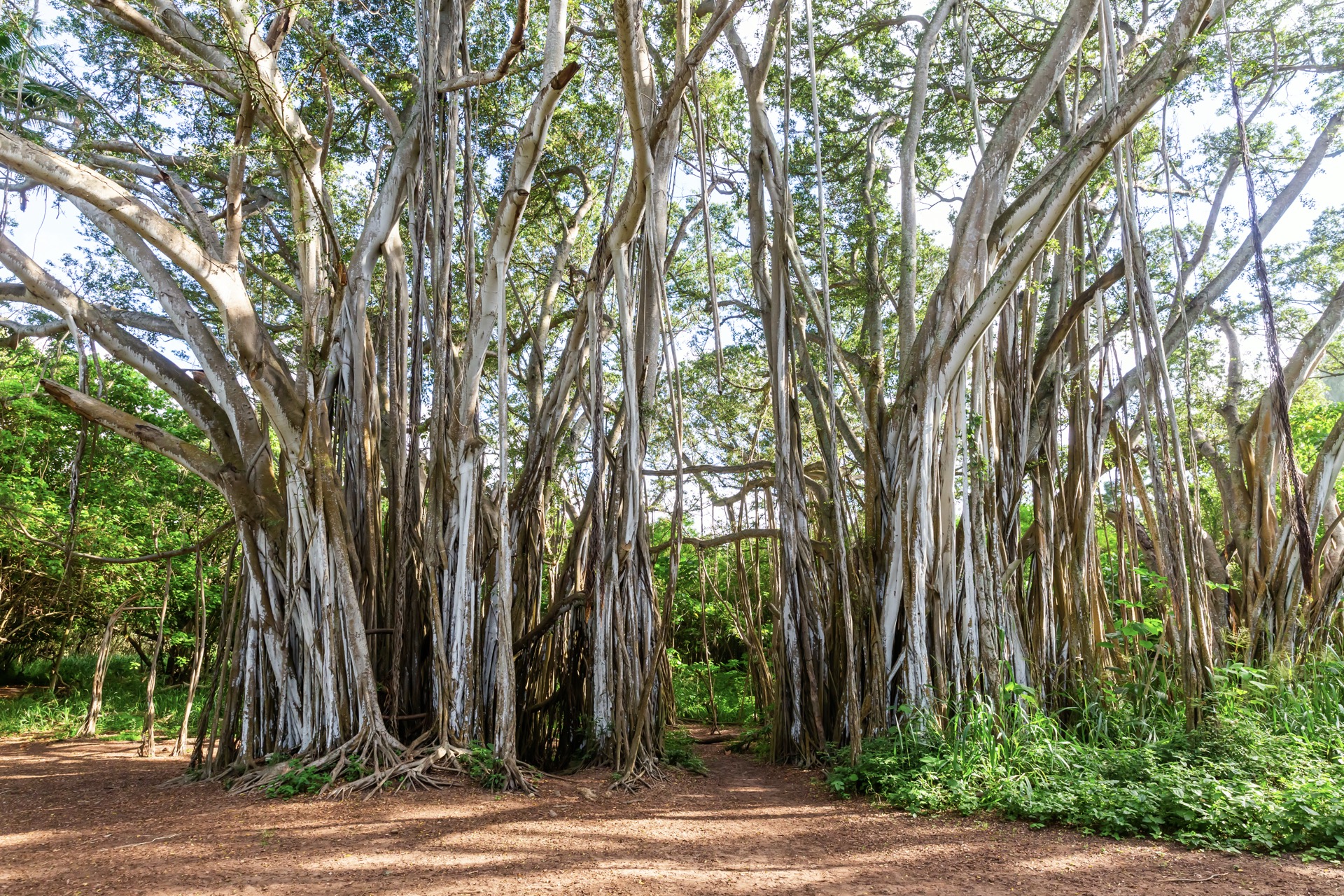 Kawela Bay Beach Park - A Hidden Gem Near Kahuku