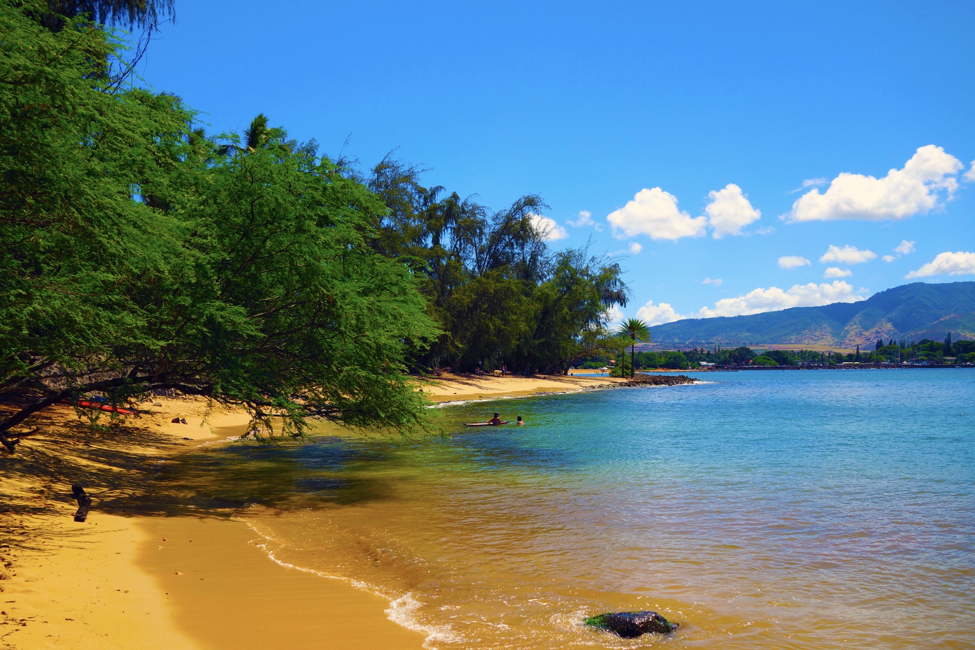 Hale’iwa Beach Park & Pua’ena Point Beach Park - North Shore Oahu