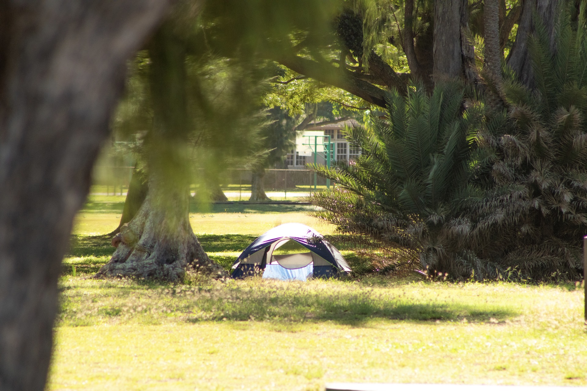 Best Things To Do At Haleiwa Beach Park