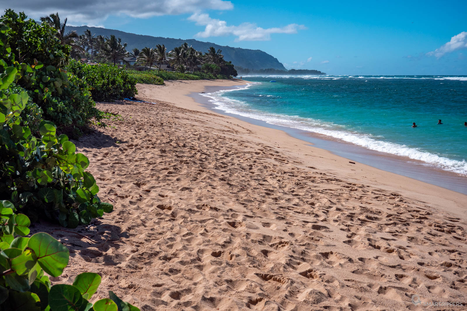 Visit ʻĀweoweo Beach Park In The Residential Town Of Waialua May Tours In Hawaii