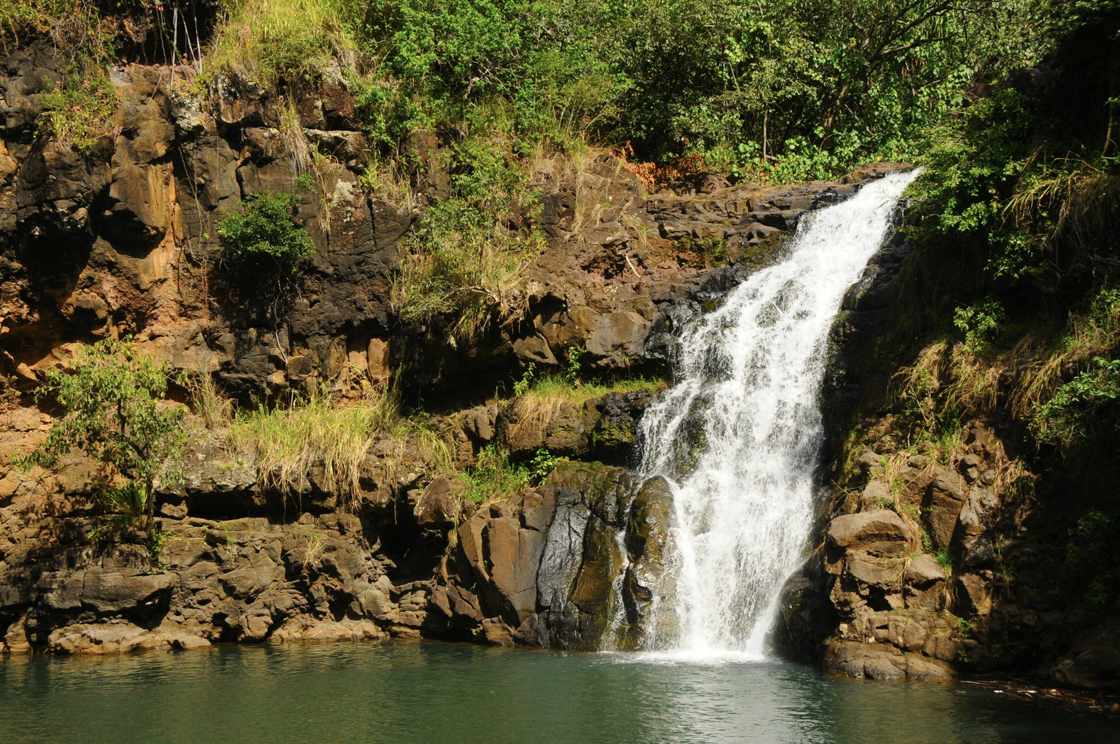 Great Things To Do At Waimea Waterfall - Circle Tour