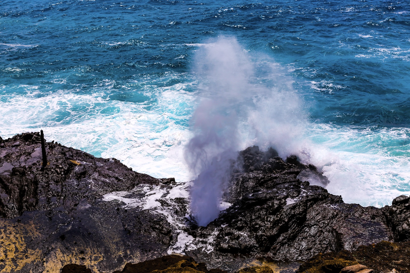 O’ahu South Shore Sightseeing Tour